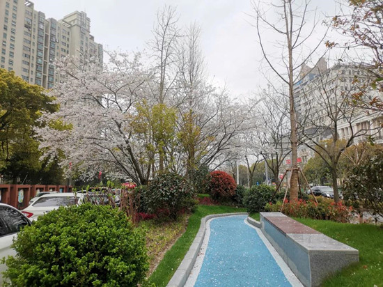 天博又一个口袋公园在路上总改造面积12720㎡！更多口袋公园将连成风景线！br