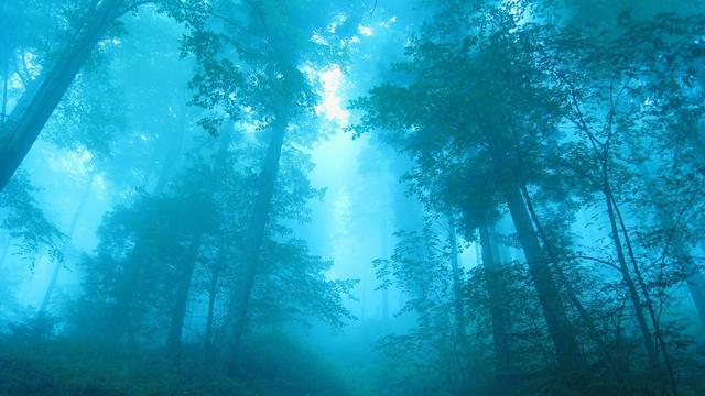 天博官网入口她29岁花4000请保姆照顾爷爷给妈妈3000照顾孩子被嫂子嫌弃(图3)