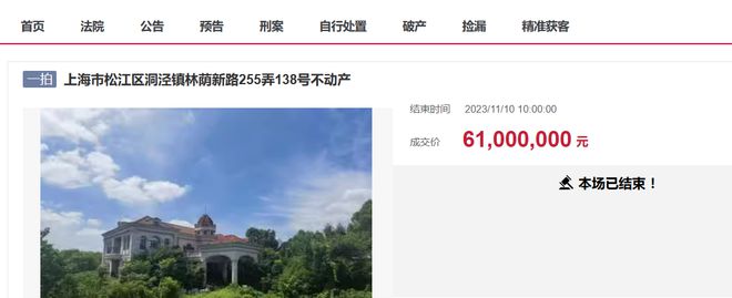 天博官网上海市一栋价值6272万占地33亩别墅拍卖被人捡漏3513万竞得(图4)